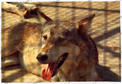 ref: D/DLI 7/534/15(89)