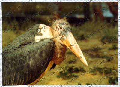 ref: D/DLI 7/534/15(90)