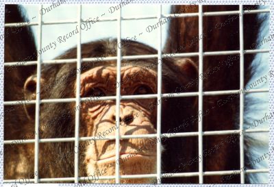 ref: D/DLI 7/534/15(91)