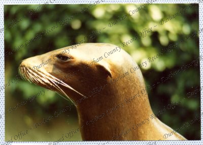 ref: D/DLI 7/534/15(92)