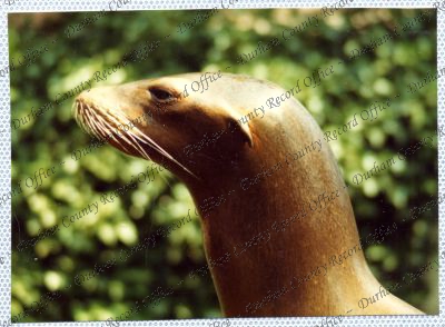 ref: D/DLI 7/534/15(93)