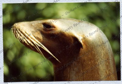 ref: D/DLI 7/534/15(94)