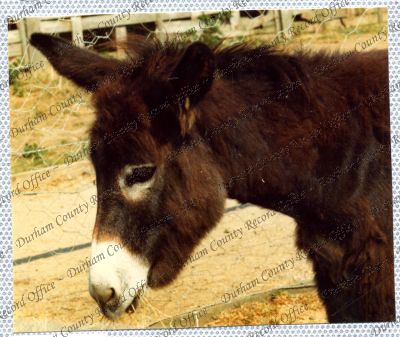 ref: D/DLI 7/534/15(95)