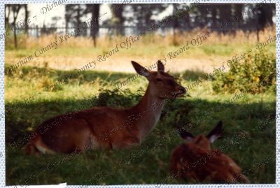 ref: D/DLI 7/534/15(96)