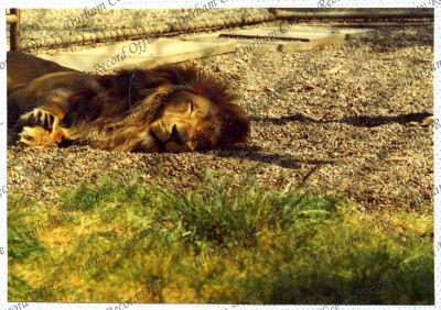 ref: D/DLI 7/534/15(98)