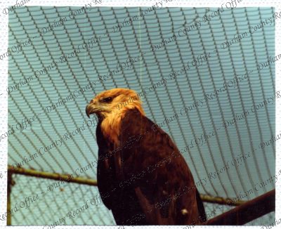 ref: D/DLI 7/534/15(99)