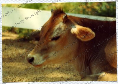 ref: D/DLI 7/534/15(100)