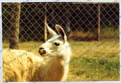 ref: D/DLI 7/534/15(101)