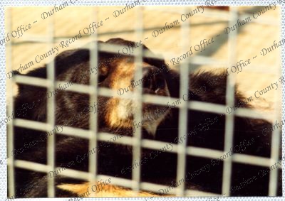 ref: D/DLI 7/534/15(102)