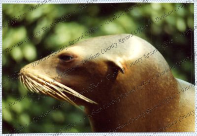 ref: D/DLI 7/534/15(103)