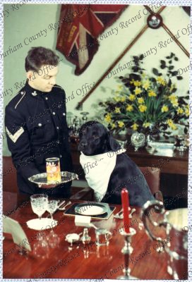 ref: D/DLI 7/534/15(110)