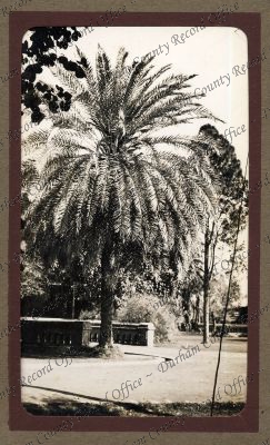 ref: D/DLI 7/539/9(75)