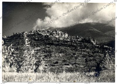 ref: D/DLI 7/558/196