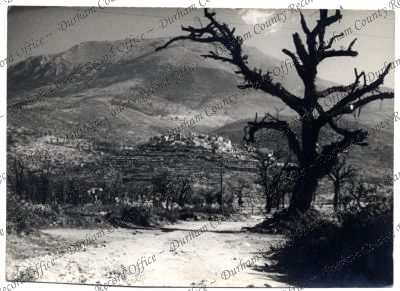 ref: D/DLI 7/558/197