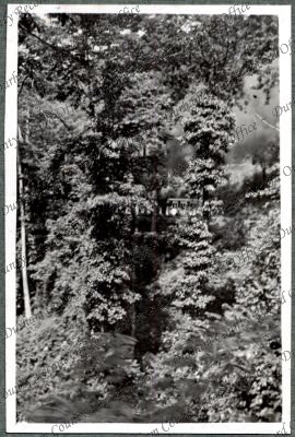 ref: D/DLI 7/576/38(19)