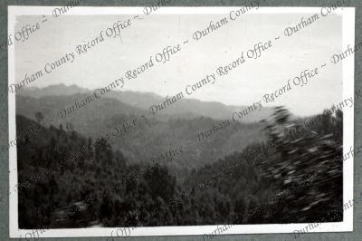 ref: D/DLI 7/576/38(20)