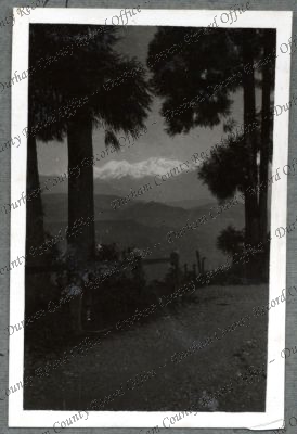 ref: D/DLI 7/576/38(39)