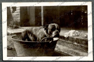 ref: D/DLI 7/576/38(47)