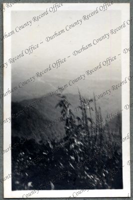 ref: D/DLI 7/576/38(59)