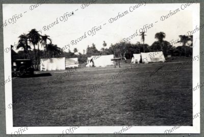 ref: D/DLI 7/576/38(66)