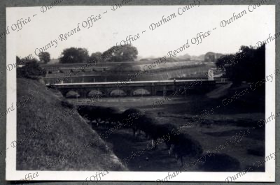 ref: D/DLI 7/576/38(67)