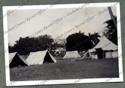 ref: D/DLI 7/576/38(75)