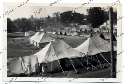 ref: D/DLI 7/576/116