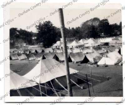 ref: D/DLI 7/576/118