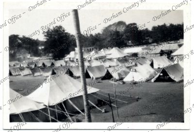 ref: D/DLI 7/576/119