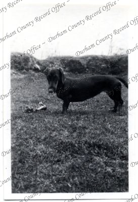 ref: D/DLI 7/576/128