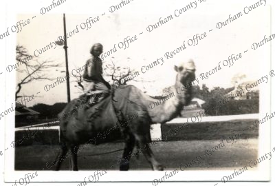 ref: D/DLI 7/576/139