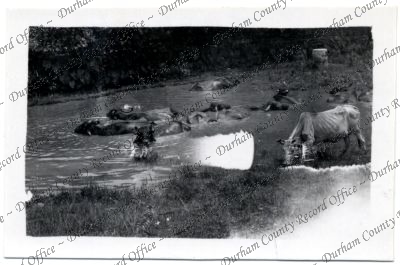 ref: D/DLI 7/576/202