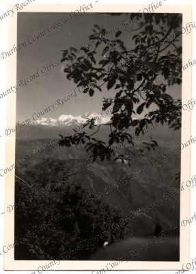 ref: D/DLI 7/576/231