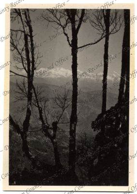 ref: D/DLI 7/576/232