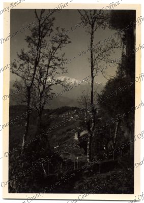 ref: D/DLI 7/576/233