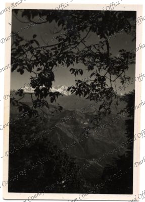 ref: D/DLI 7/576/234