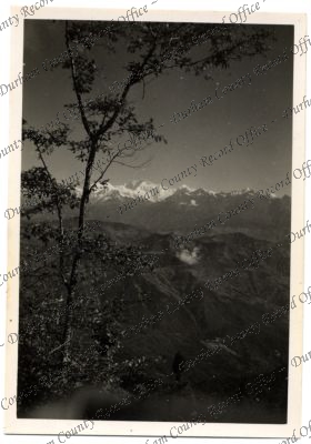 ref: D/DLI 7/576/235