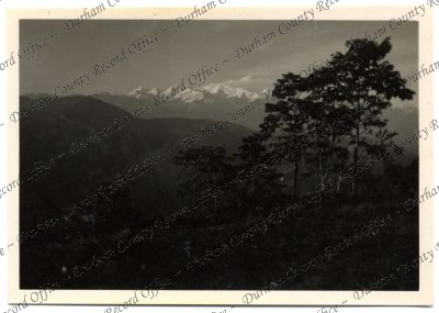 ref: D/DLI 7/576/236