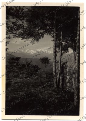 ref: D/DLI 7/576/237