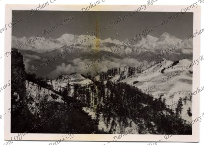 ref: D/DLI 7/576/239