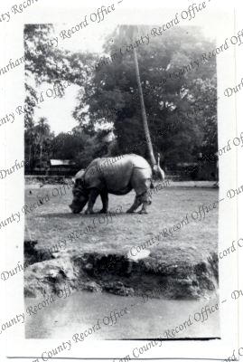 ref: D/DLI 7/576/244