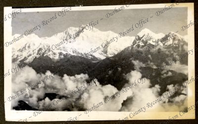 ref: D/DLI 7/584/1(104)