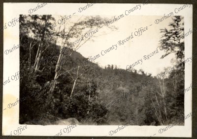 ref: D/DLI 7/584/1(107)