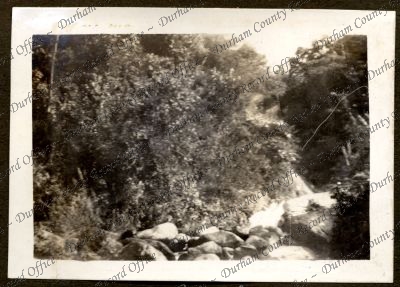 ref: D/DLI 7/584/1(108)