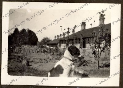 ref: D/DLI 7/584/1(113)