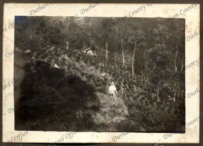 ref: D/DLI 7/584/1(114)