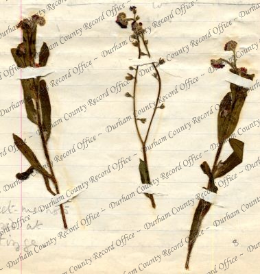 ref: D/DLI 7/602/8(8)