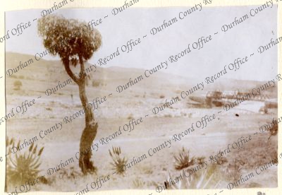 ref: D/DLI 7/602/16(81)