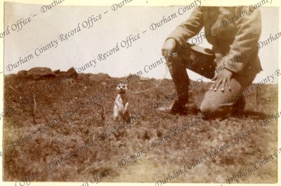 ref: D/DLI 7/602/16(135)