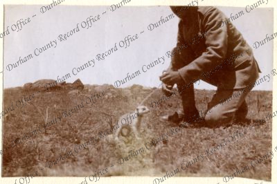 ref: D/DLI 7/602/16(136)